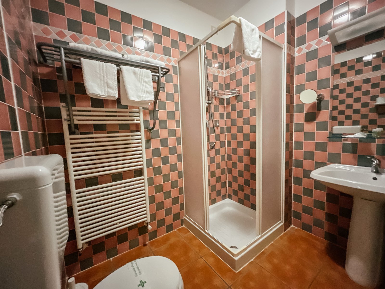 A bathroom with checked tiles, a shower and a towel rail.